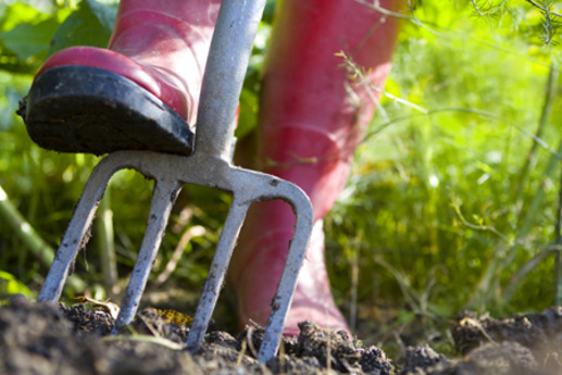 What Did We Do At The Regina Spring Home Show?