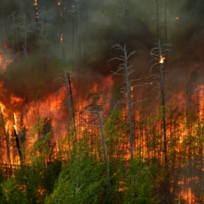 How Prepared is Your Family for an Emergency?