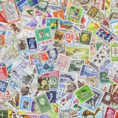 Collectible Insurance vs. Homeowners