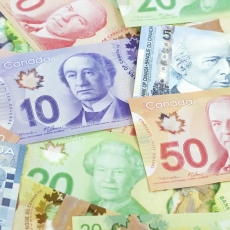 How Your Neighbour’s Insurance Fraud Affects You